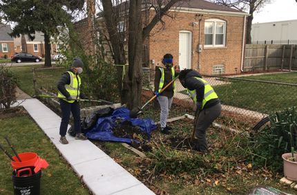 Treereplanting 3Jpg