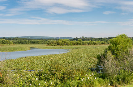 DSC 4793