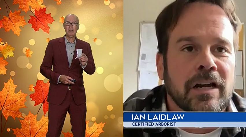 Screenshot 2025 10 15 133118