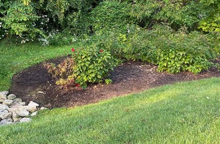 Project Profile Green Infrastructure Installation Banner 1440X500