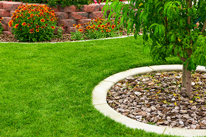 Landscaping Around Trees With Stones