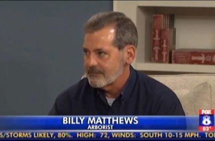 Matthews