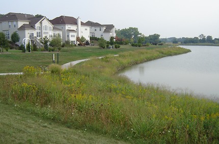Pond Margin 09 12 05 600X400