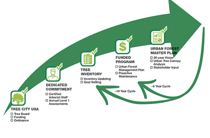 Urban Forest Program Continuum 600X600