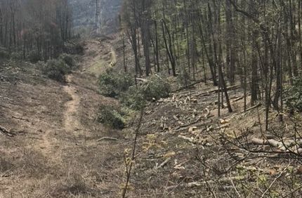 2000 Days Part 2 Terrain Photo 2