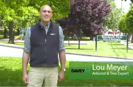 Lou Meyer (2)