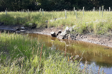 Environmental Consulting Project Profile Toledo Metro Parks Banner 1440X500