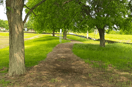 Ec Project Profile Homer Glen Banner 1440X500