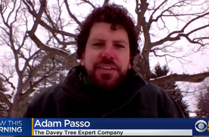 Adampasso2