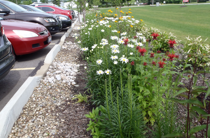 Green Infrastructure