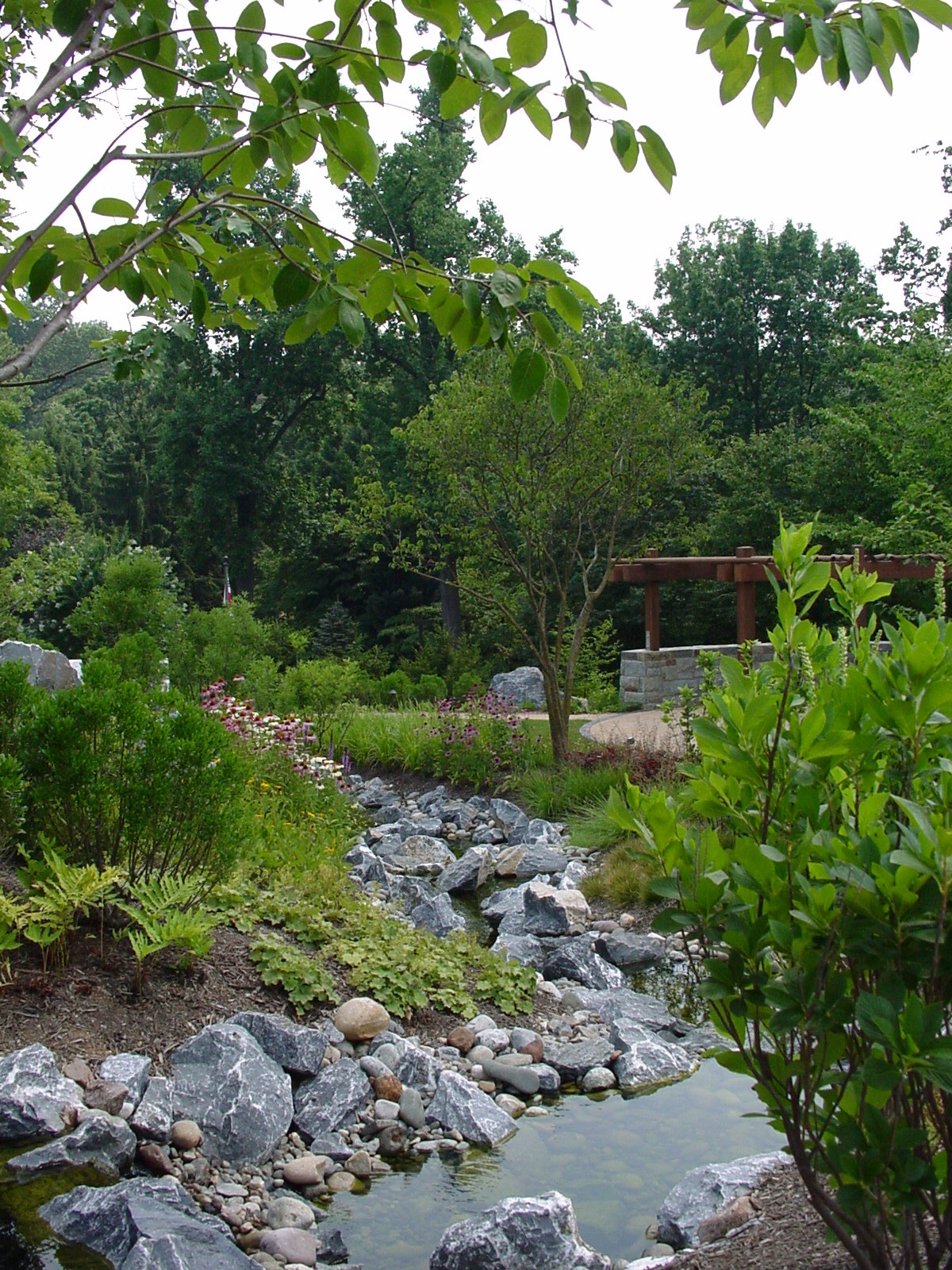 Stream And Wetland Restoration (1)