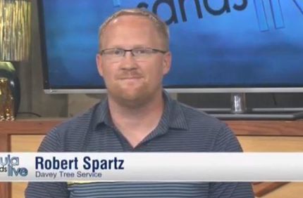 Spartz