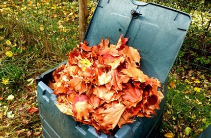 Compost Leaves Davey Tree