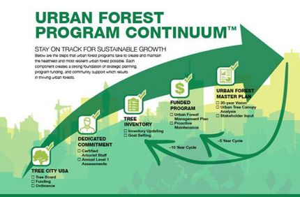 Urban Forest Program Continuum 600