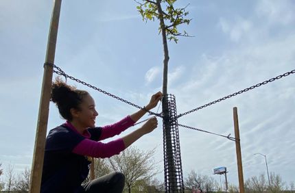 Arbor Day WRLC 3